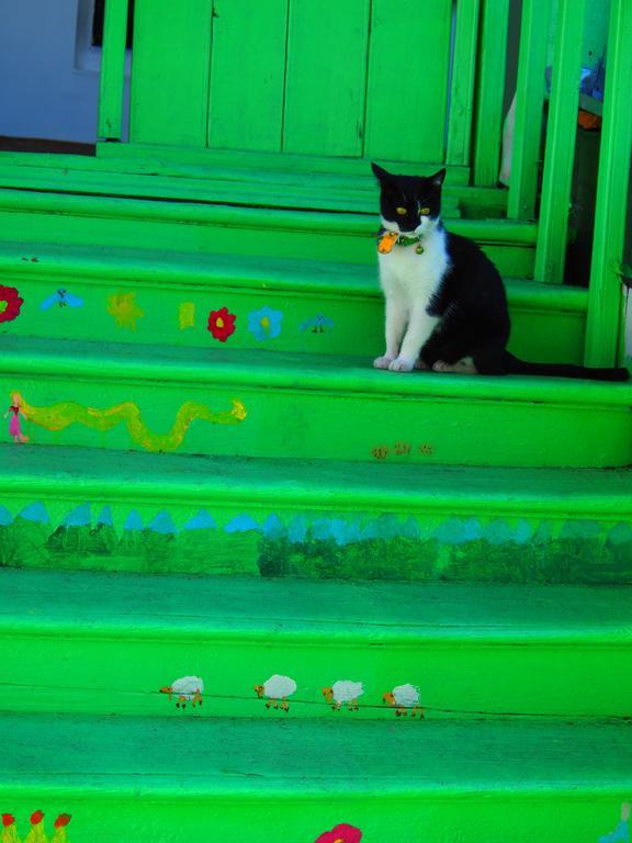 Green Stairs Guest House Tbilisi Luaran gambar