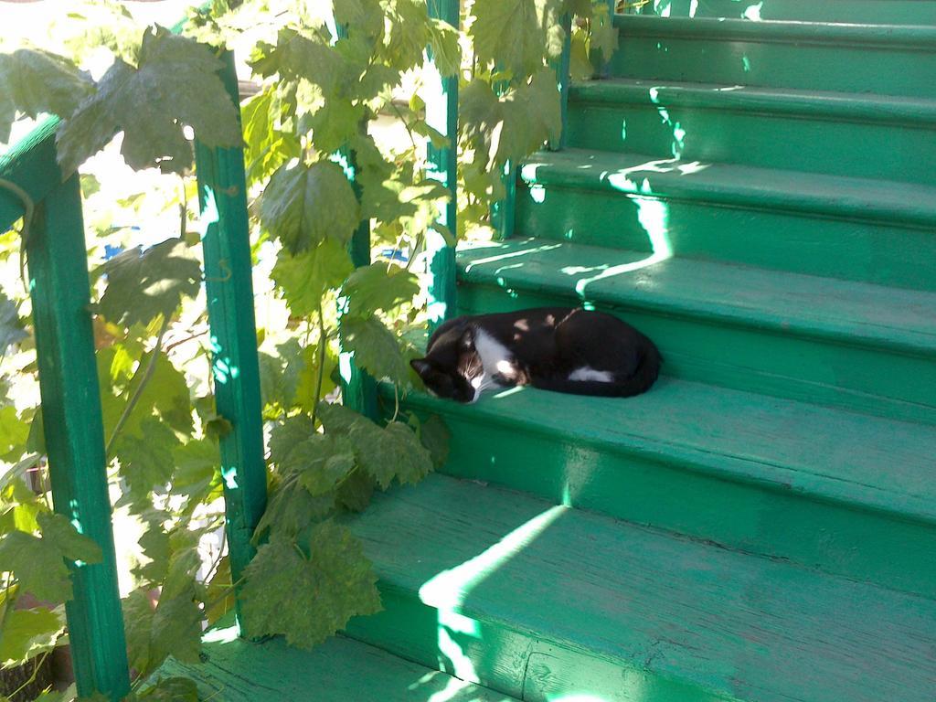 Green Stairs Guest House Tbilisi Luaran gambar