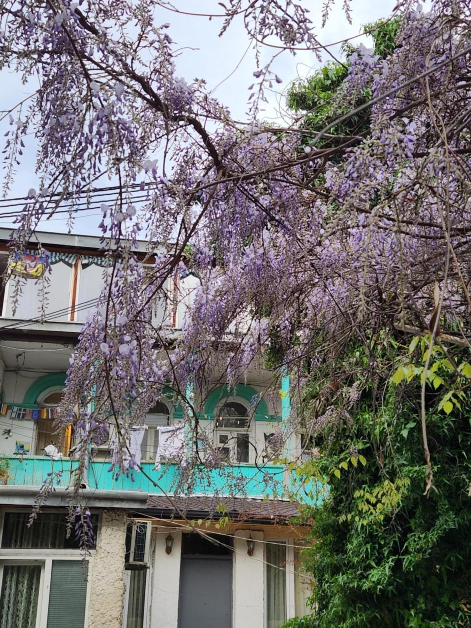 Green Stairs Guest House Tbilisi Luaran gambar