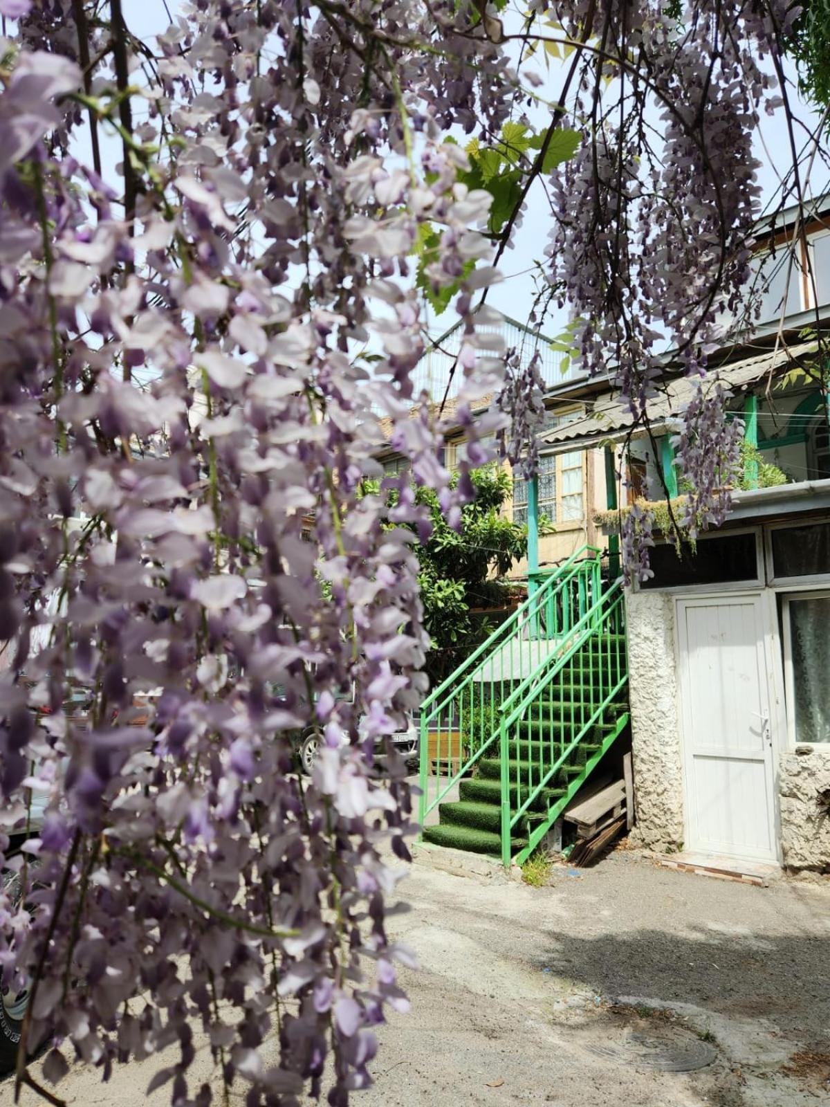 Green Stairs Guest House Tbilisi Luaran gambar
