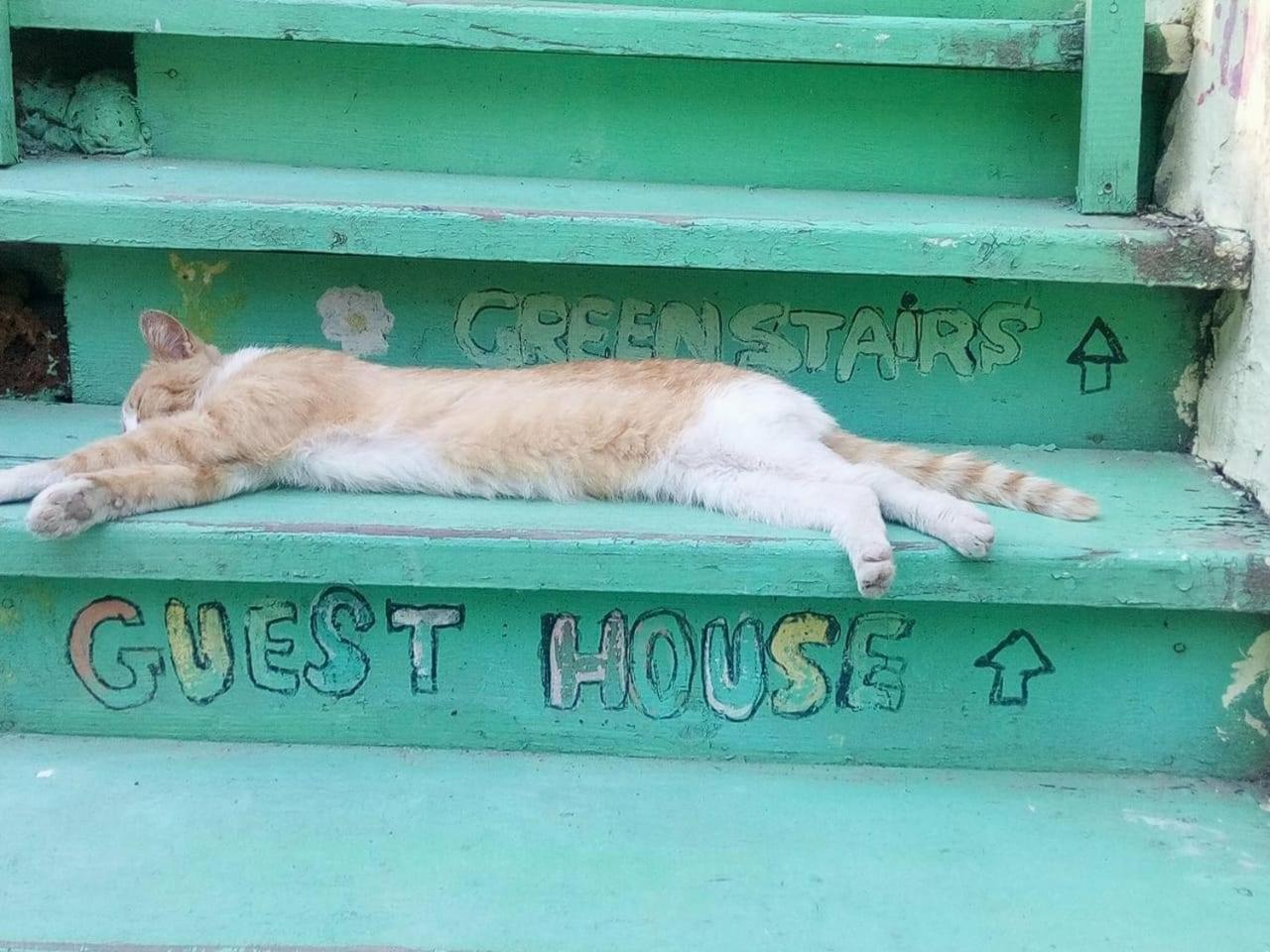 Green Stairs Guest House Tbilisi Luaran gambar